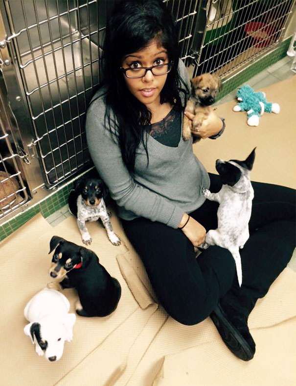 Fotos tiradas por cuidadores de animais