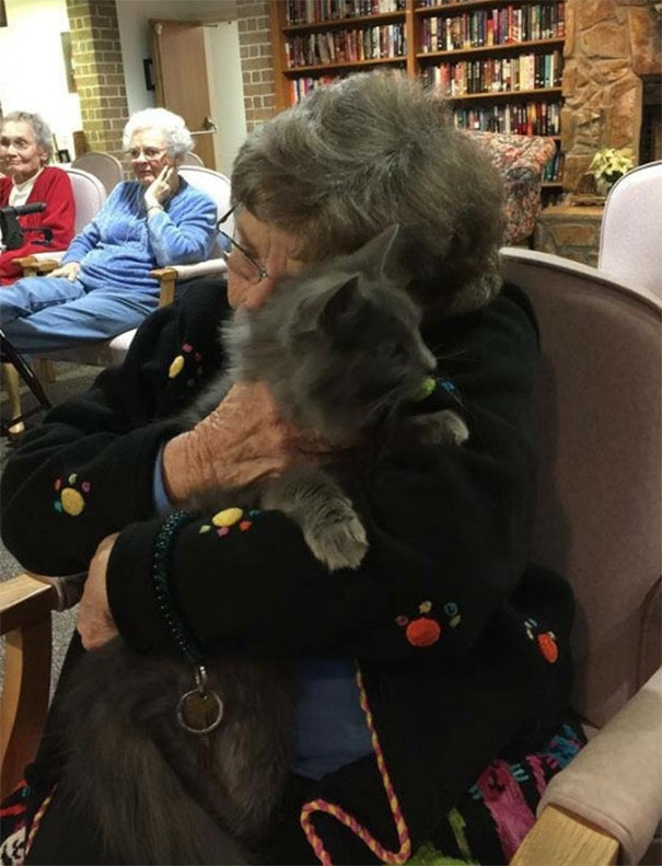 Fotos tiradas por cuidadores de animais