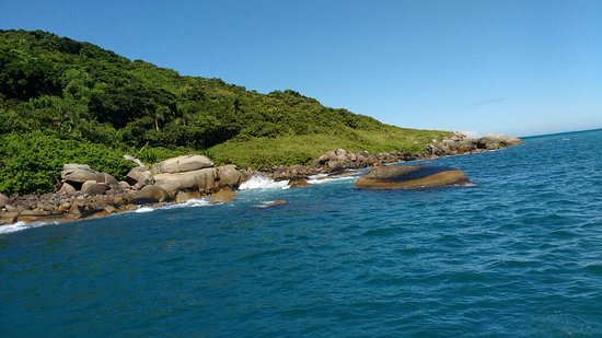 A Gruta do Monge fica na Ilha do Arvoredo, ela ganhou esse nome devido a história de um monge que foi encontrado por pescadores no local. Esse homem teria o poder de curar pessoas. Assim como ele apareceu, desapareceu. Mas o nome ficou