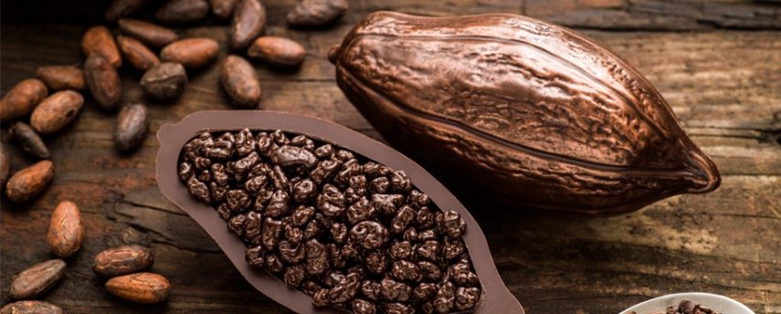 A informação sobre o fim do chocolate circulou nas redes sociais. A teoria é que por conta das mudanças climáticas, as árvores de cacau morreriam e, logo, não haveria o principal ingrediente para produzir a delícia. A publicação foi inspirada na tentativa de cientistas em criar uma forma de cacau geneticamente modificado para resistir as mudanças climáticas. Mas os cientistas jamais afirmaram que a pesquisa estava baseada na previsão de extinção do cacau