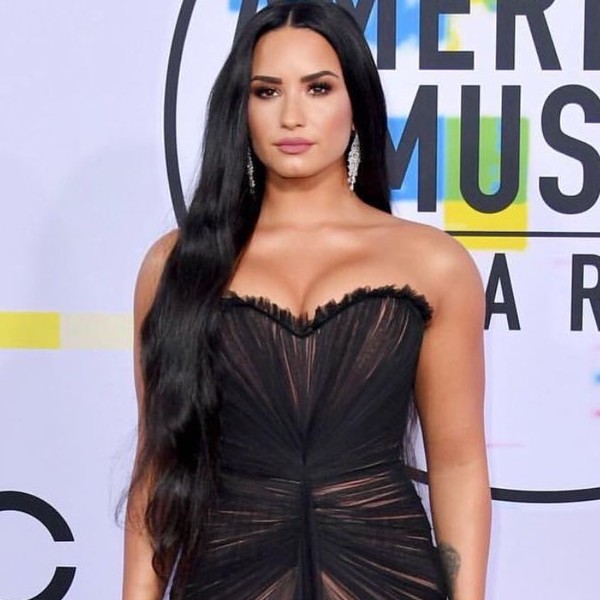 Demi Lovato sempre se preocupou com o próprio peso e vai frequentemente à academia para se manter em forma. 