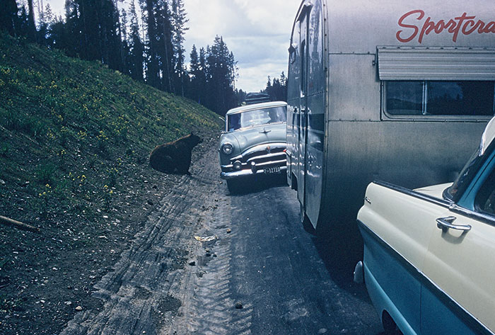 Fotos coloridas mostram cotidiano dos EUA nos anos 1950