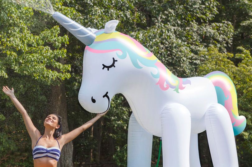 Unicórnio inflável de dois metros é vendido na web por R$ 280