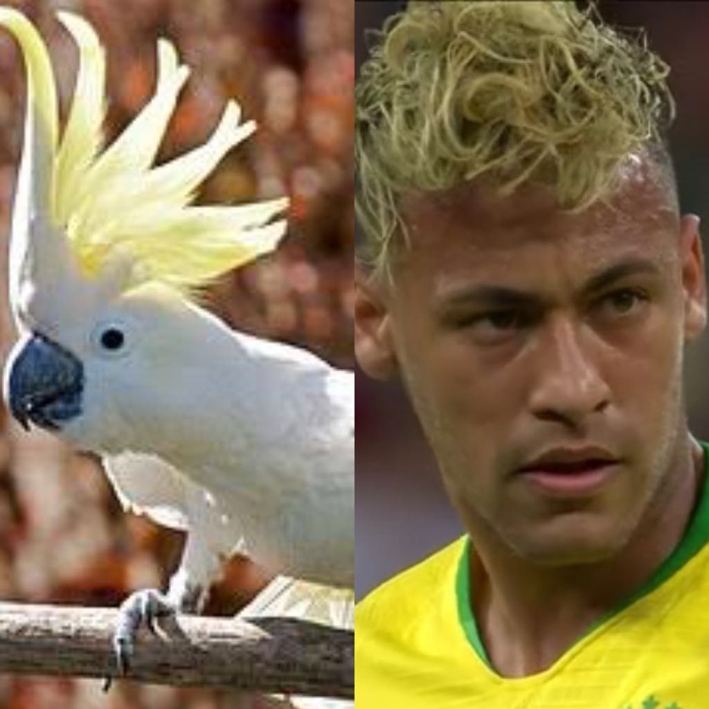 Lembra de todas?! 10 mudanças de visual inesquecíveis de Neymar Jr.
