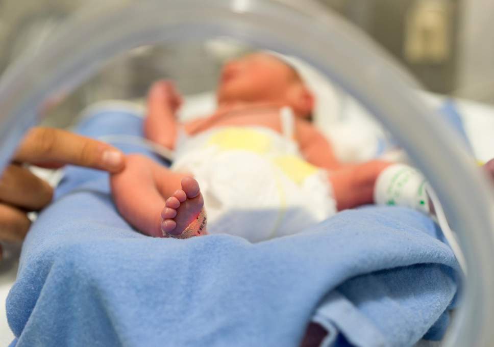 Exame de sangue pode prever dia do parto e se bebê será prematuro