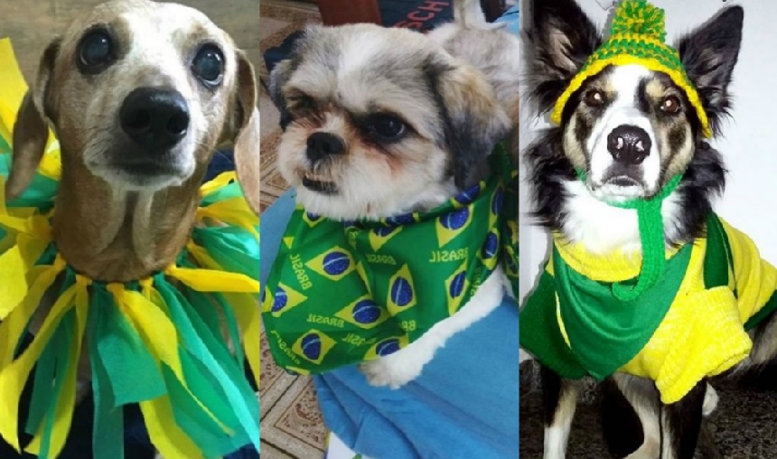 Catioros arrumadíssimos para torcer pro Brasil viram moda no Instagram