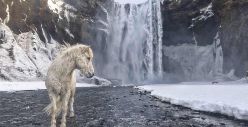 Revista National Geographic divulga fotos finais de competição. Prêmio chega a R$37,9 mil.