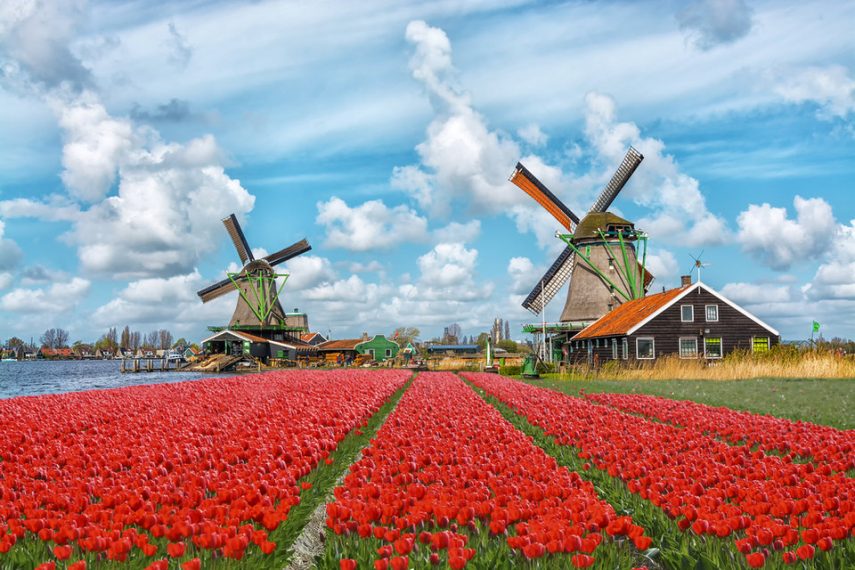 Os moinhos são parte fundamental da paisagem da Holanda.