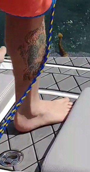 Cascavel sobe em barco e apavora família nos EUA
