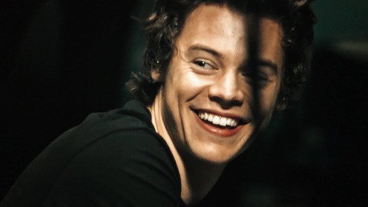 Harry Styles diz que 'somos todos um pouco gays'