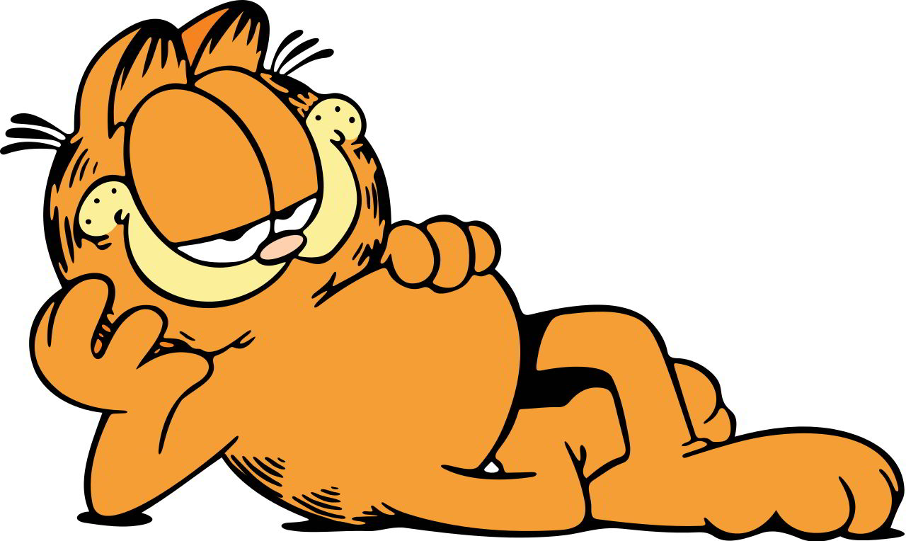 Mãe procura gato laranja para ser Garfield em jantar