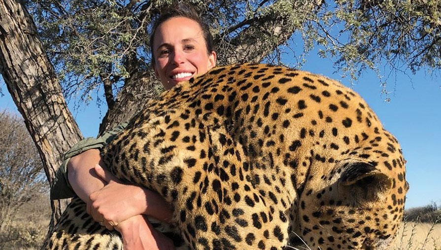 Caçadora mata um dos maiores leopardos do mundo e exibe sorridente na web