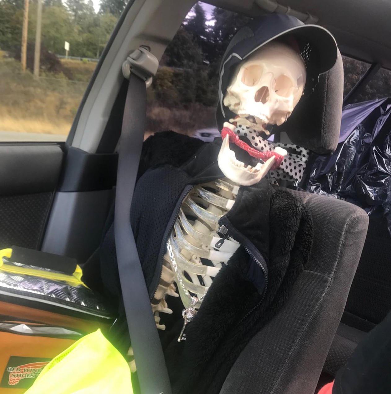Motorista tenta enganar polícia com esqueleto de passageiro
