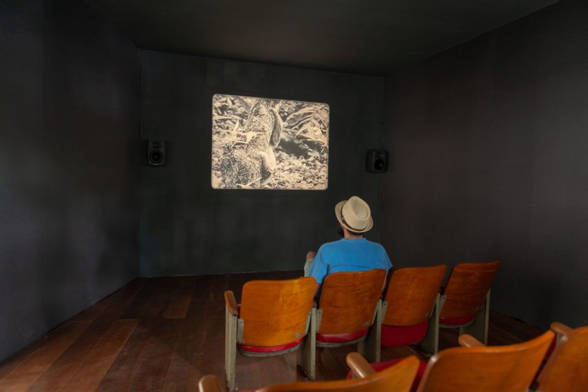 Obra de Ben Rivers. Visitação de trabalhadores da exposição e seus familiares durante o brunch dos funcionários.