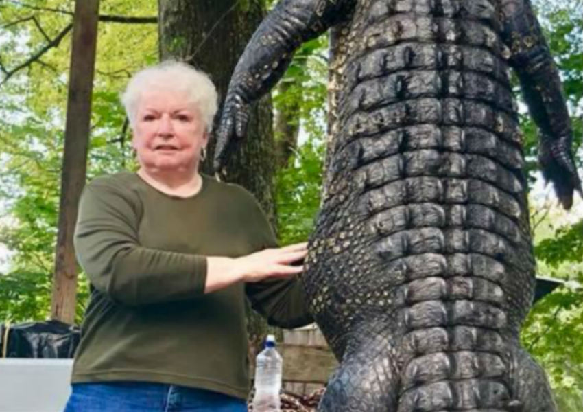 Prefeita bisavó mata jacaré que comeu seu pônei