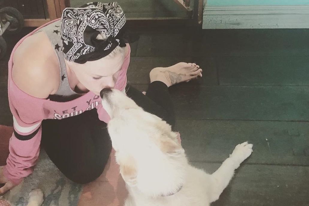 Pink lamenta morte de sua cachorra e emociona: "Obrigada por me esperar chegar em casa"