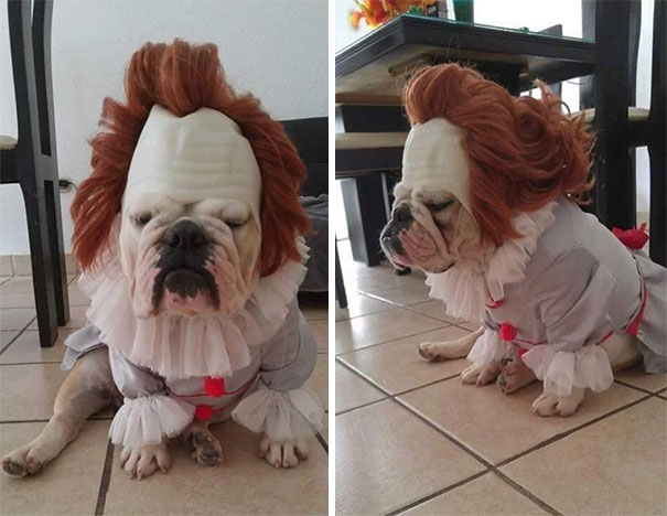 Fantasias mais criativas do Halloween 2018