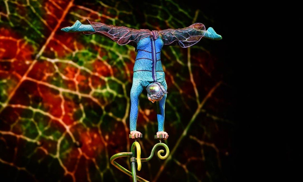 Cirque du Soleil traz ao Brasil 'OVO', espetáculo inspirado na cultura brasileira