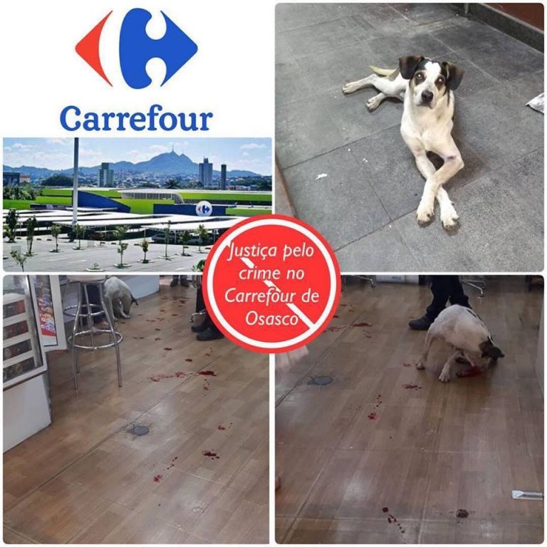 Polícia investiga morte de cachorro em supermercado