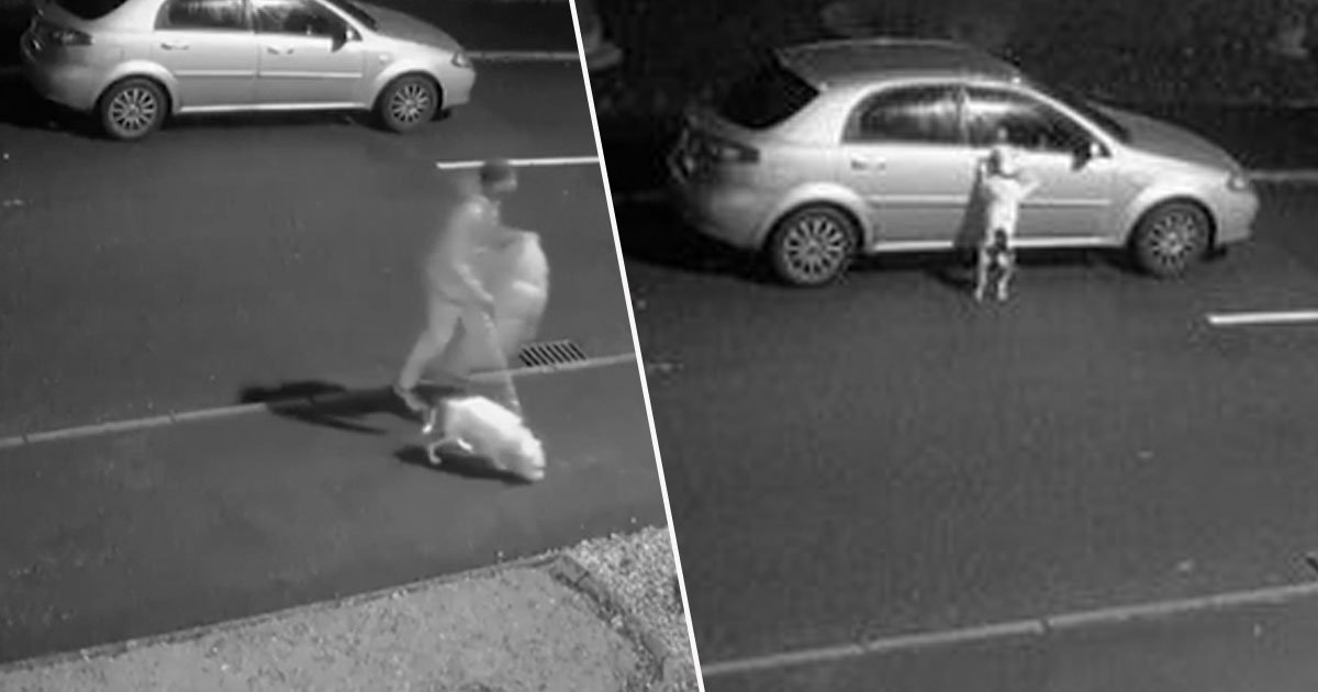 Cachorro se desespera ao perceber que dono vai abandoná-lo na rua