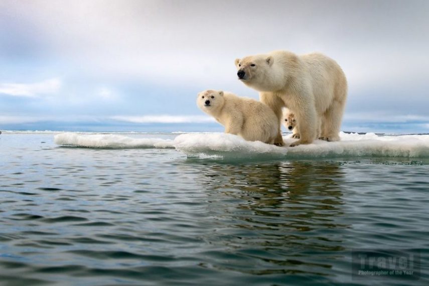 Travel Photographer Of The Year Awards