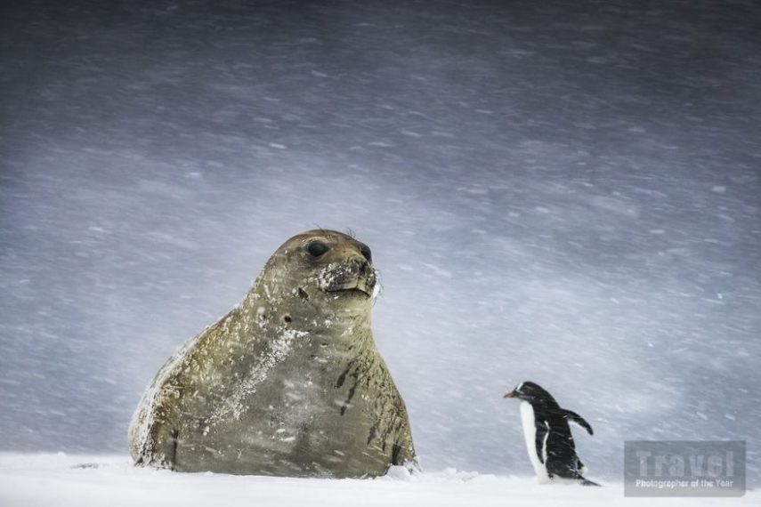 Travel Photographer Of The Year Awards