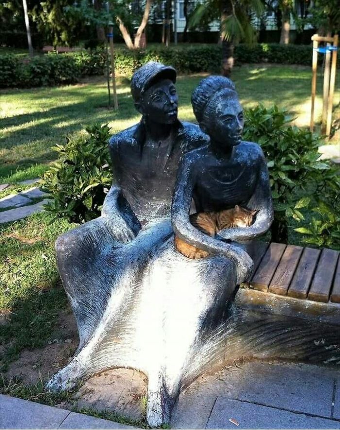 Fotos mais fofas e engraçadas de gatos