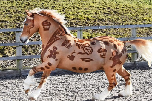 Americana Melody Hames trabalha fazendo desenhos criativos em pelos de cavalos