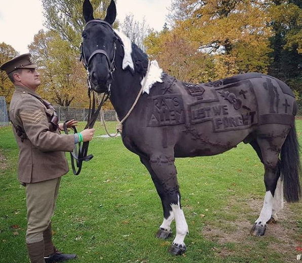 Americana Melody Hames trabalha fazendo desenhos criativos em pelos de cavalos