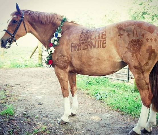 Americana Melody Hames trabalha fazendo desenhos criativos em pelos de cavalos