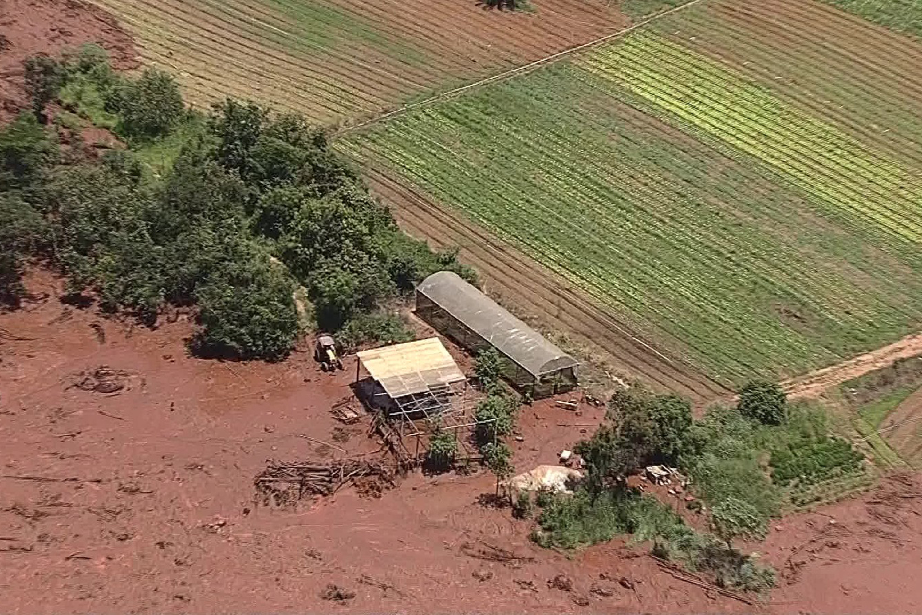 Três sobreviventes são resgatados em Brumadinho