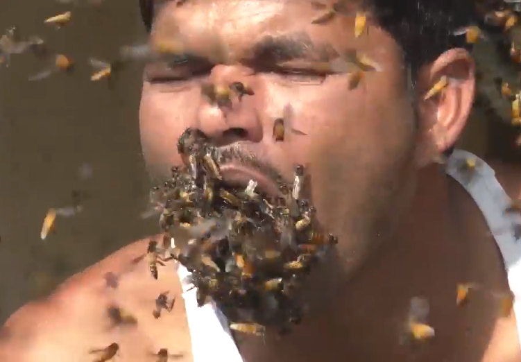 Indiano coloca abelhas na boca para extrair mel