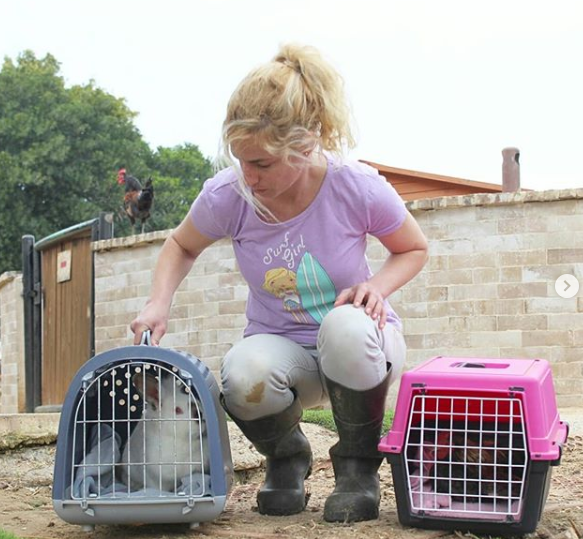 Fazenda em Israel é santuário para animais rejeitados