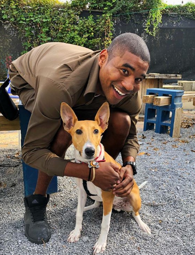 Entregador registra cachorros que encontra pela rota de trabalho