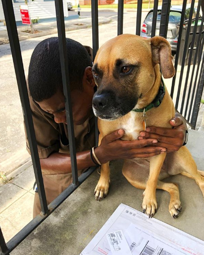 Entregador registra cachorros que encontra pela rota de trabalho