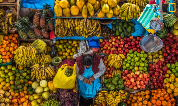 Concurso está aberto e escolherá melhores fotos de 2019