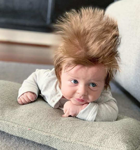 O pequeno Boston nasceu na Austrália e chama a atenção pelo seu cabelo