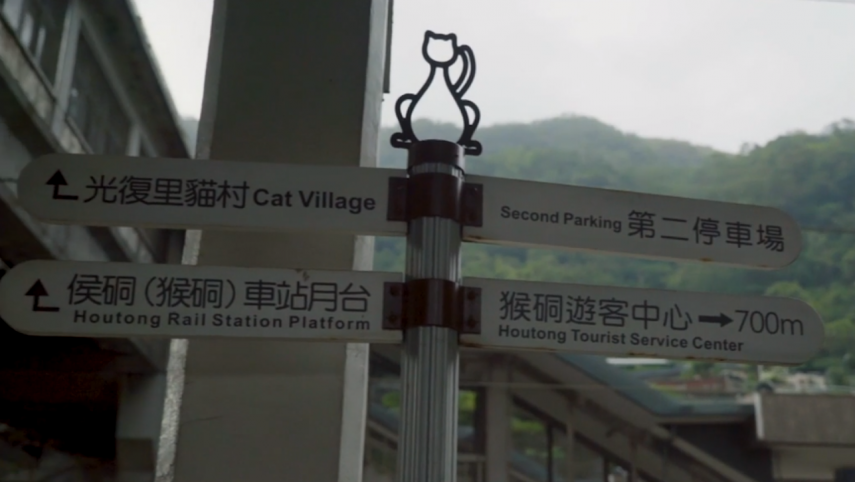 Este vilarejo de Taiwan foi salvo pela superpopulação de felinos 