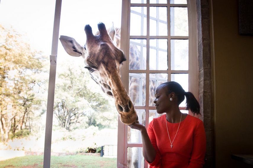 Giraffe Manor - Quênia