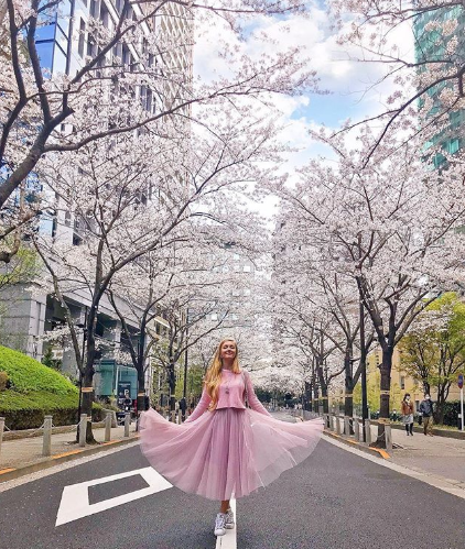 Cerejeiras floridas colorem o Japão na primavera
