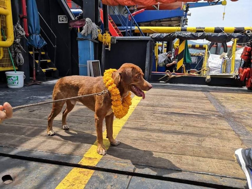 Nesta segunda, foi transportada para outro navio e finalmente chegou à costa