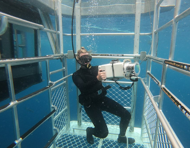 De dentro da água, fotógrafo registra ataque de tubarão branco