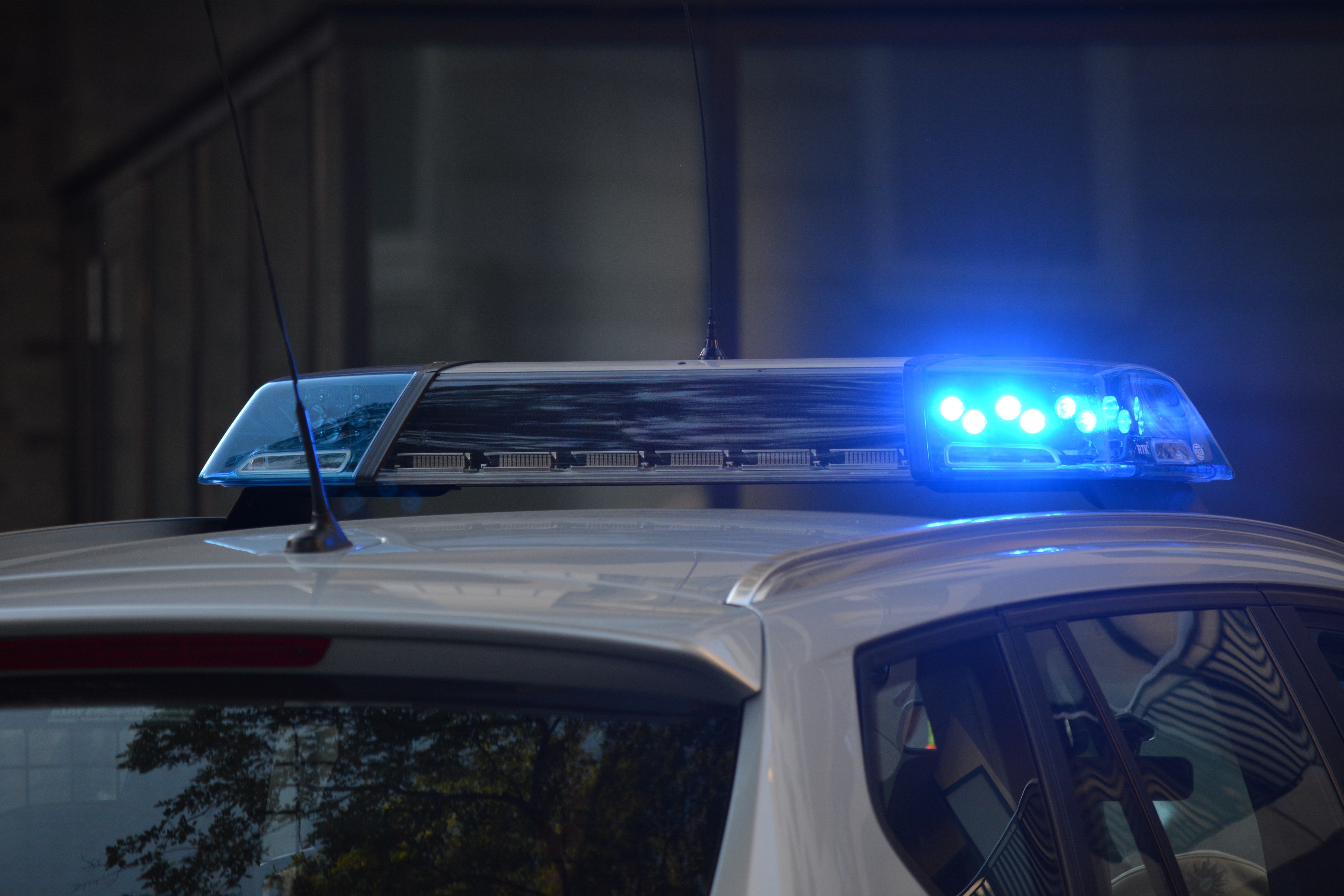 Base policial em Paris é fechada por infestação de pulgas