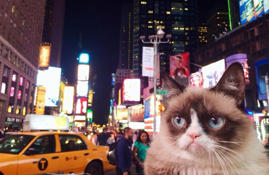 Grumpy em viagem a Nova York