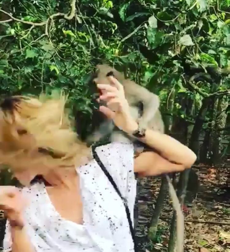 Macaco dá um tapa no rosto de Cris Dias durante viagem