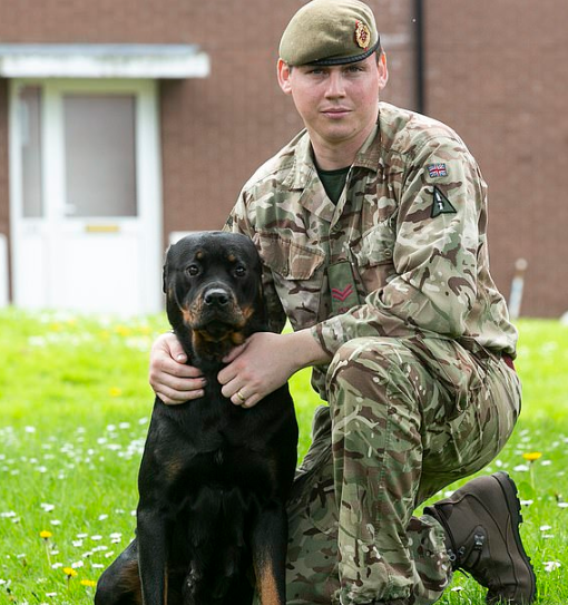 Rottweiler dá à luz 16 filhotes