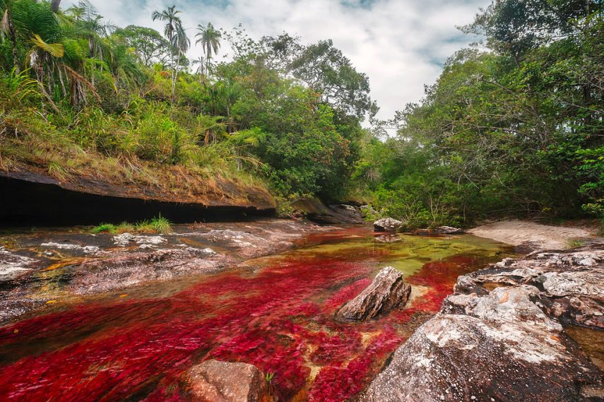 Entre Junho e Novembro, as águas de Caño Cristales, localizado na Colômbia, adquirem tons de vermelho, amarelo, verde, azul e preto