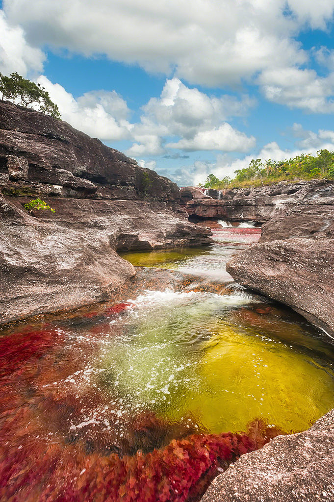 Entre Junho e Novembro, as águas de Caño Cristales, localizado na Colômbia, adquirem tons de vermelho, amarelo, verde, azul e preto