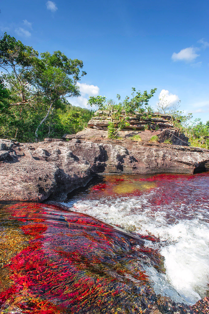 Entre Junho e Novembro, as águas de Caño Cristales, localizado na Colômbia, adquirem tons de vermelho, amarelo, verde, azul e preto