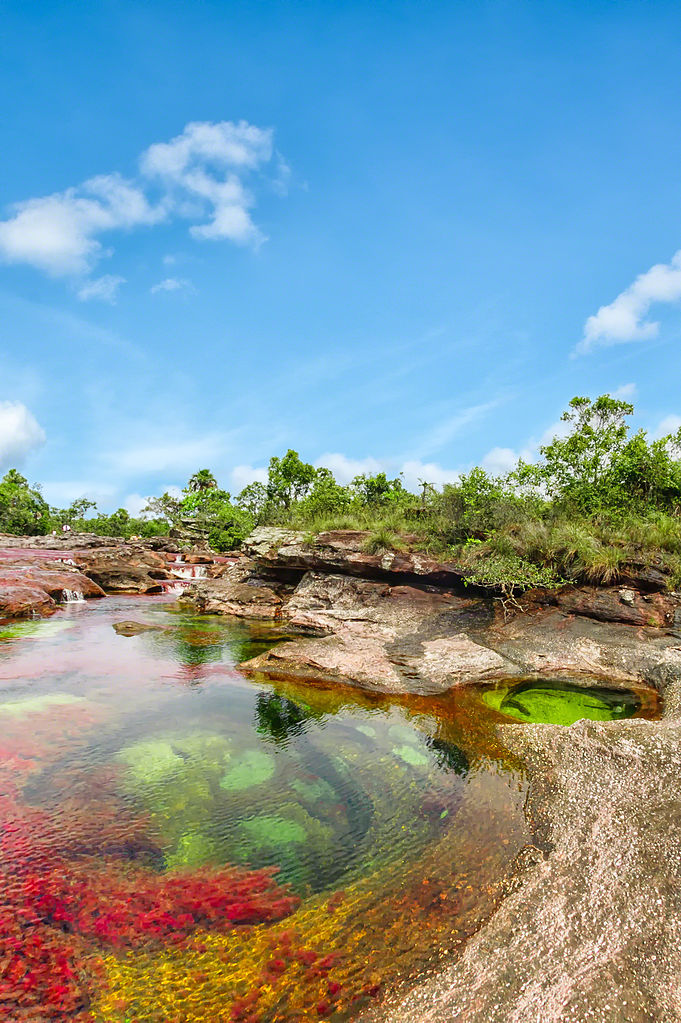 Entre Junho e Novembro, as águas de Caño Cristales, localizado na Colômbia, adquirem tons de vermelho, amarelo, verde, azul e preto